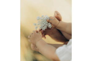 Tips for New Parents: Best Flowers to Place at Home With a Newborn