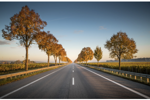 How Families Navigate the Aftermath of Road Accidents Involving Kids