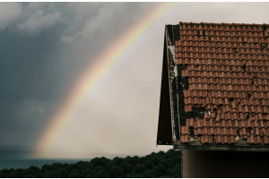 Immediate Steps After Your Roof is Damaged by Weather