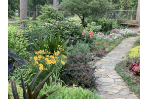 Smart Ways to Prevent Accidents in Your Yard