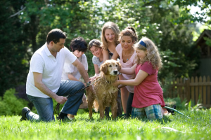 How to Choose the Right Dog to Adopt for Your Growing Family