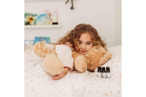 How to Take Care of a Teddy Bear Toy