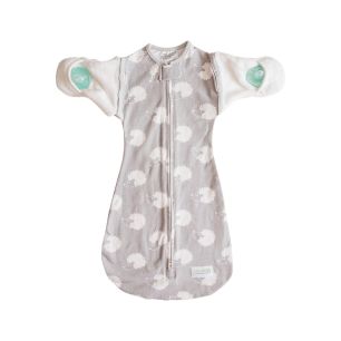 Hybrid 4-in-1 (Sleepy Hedgehog) with remobable arms and inbuilt pacifiers - Woombie Main