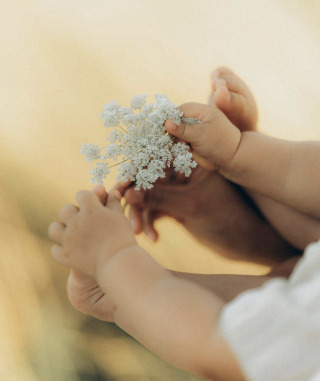 Tips for New Parents: Best Flowers to Place at Home With a Newborn