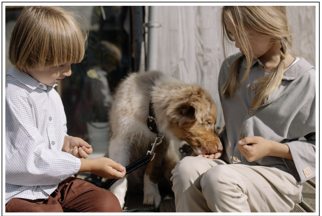 Considerations When Adopting a Pet For Your Child
