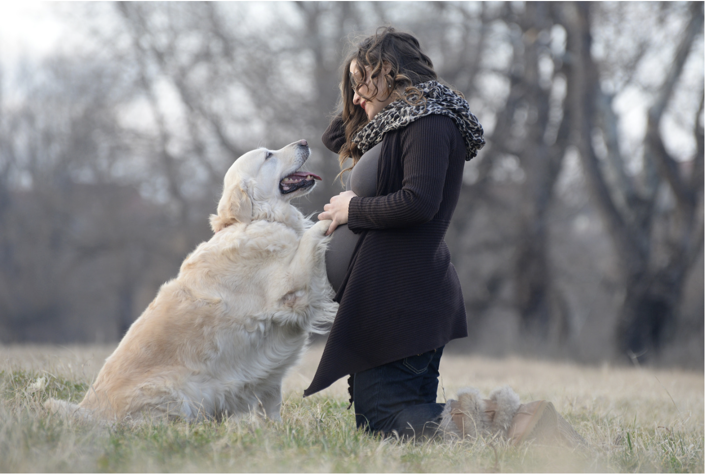 Health Risks of Dog Bites for Expecting Mothers