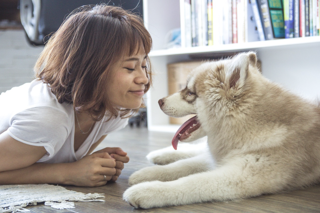 Guide to Responsible Dog Ownership: Nurturing a Lifelong Bond - Best  Friends Pet Care