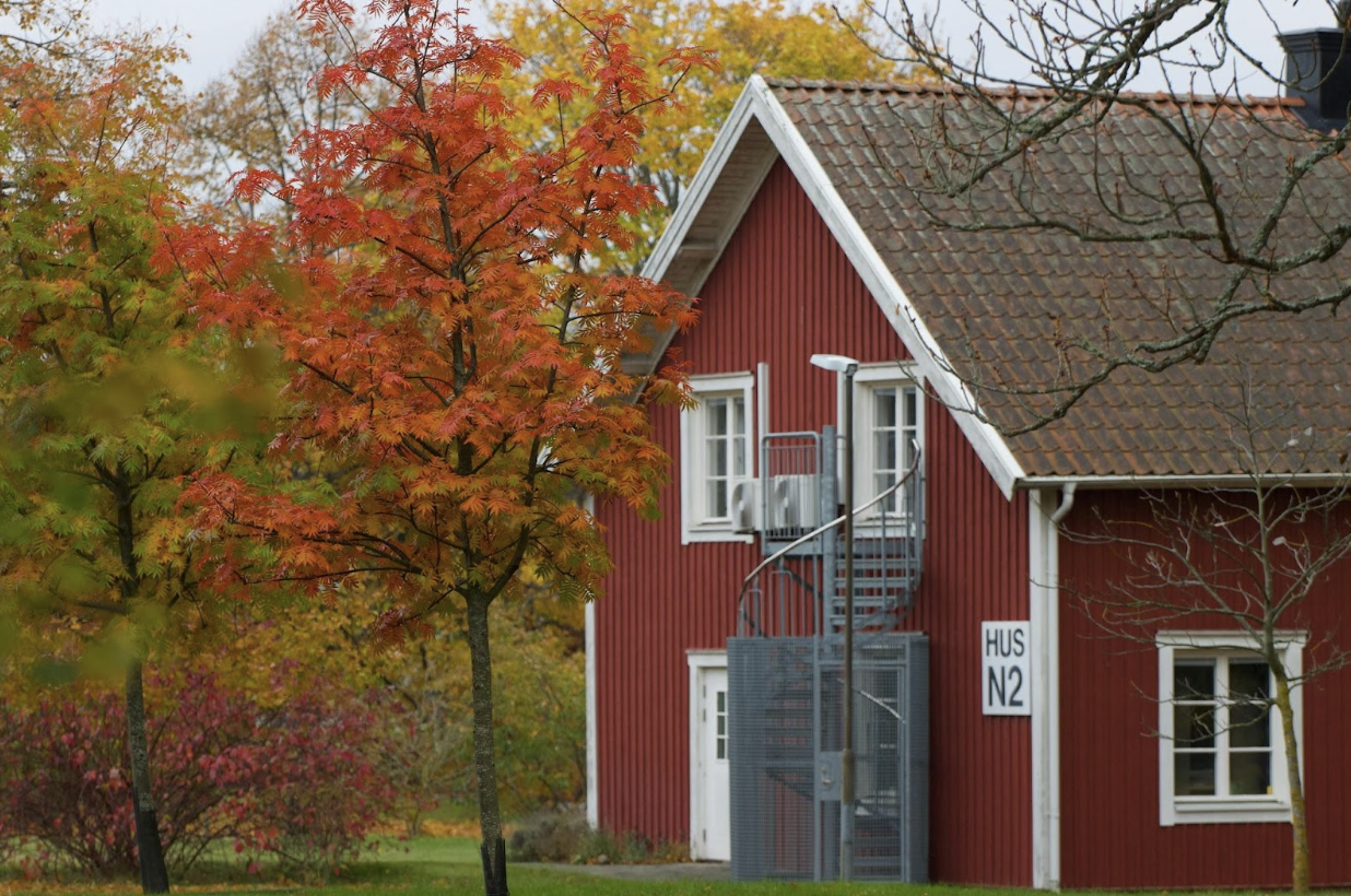 Identifying Potential Hazards in Family Homes