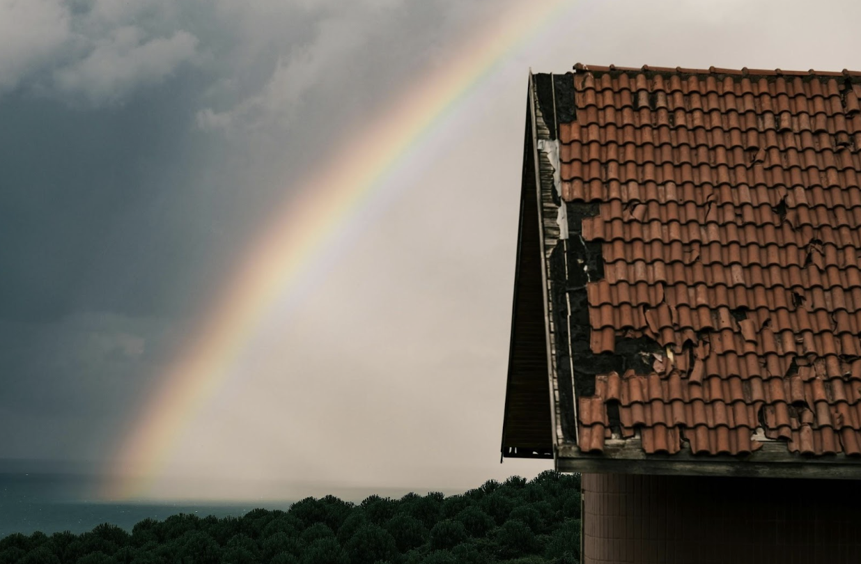 Immediate Steps After Your Roof is Damaged by Weather