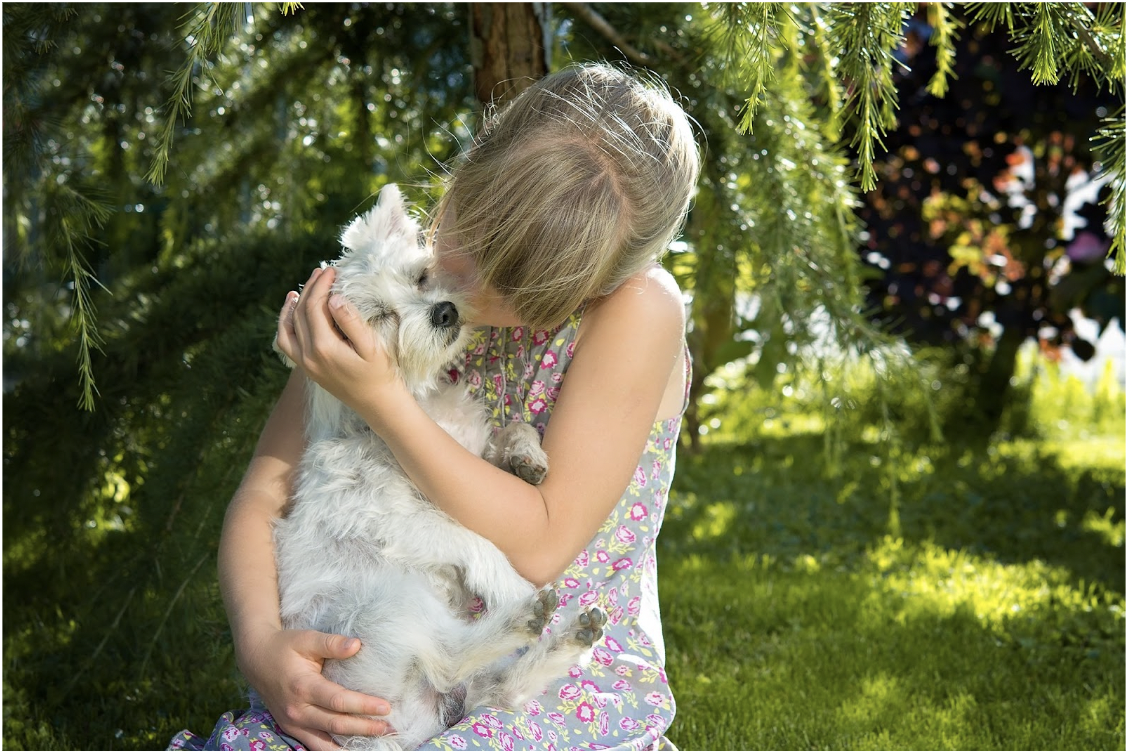 How Dogs Can Positively Impact Your Child's Development