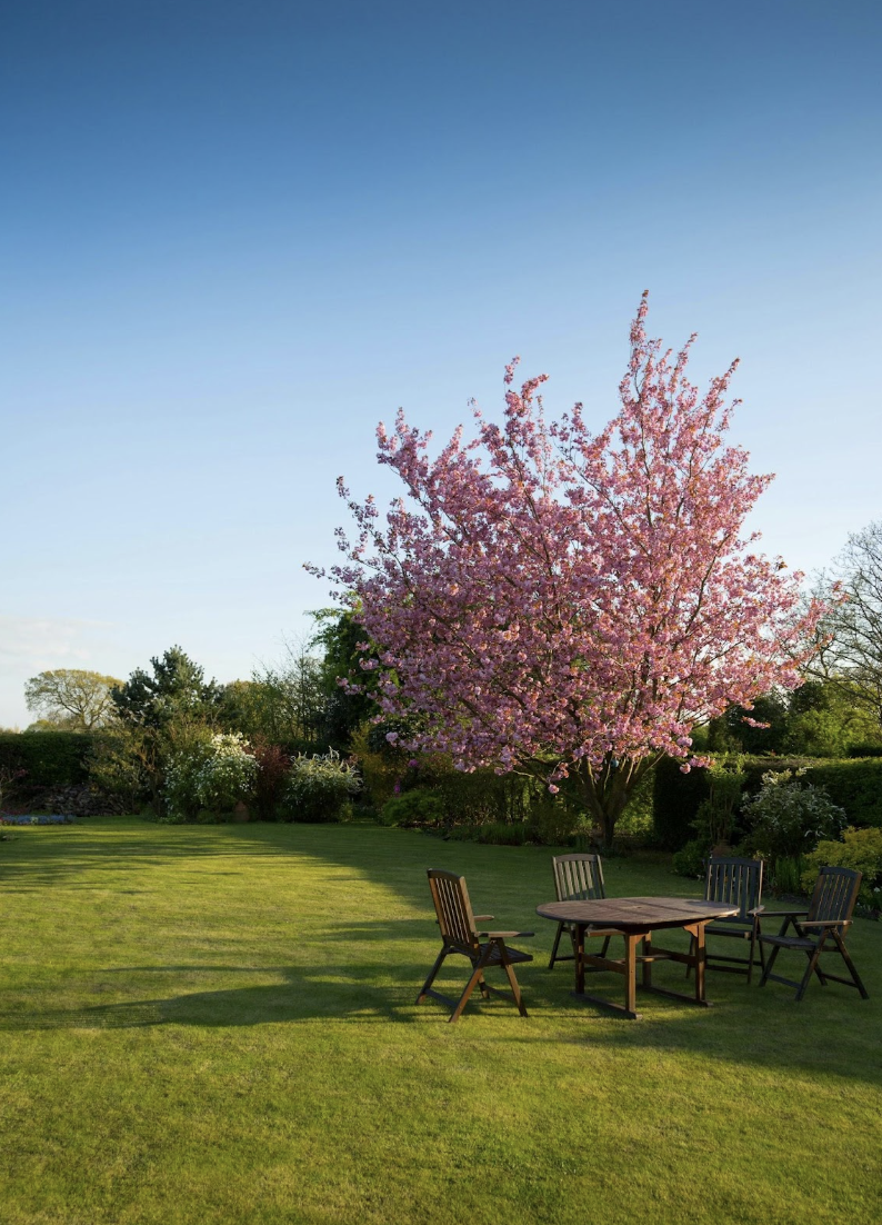 Bring Vacation Vibes Home: Easy Backyard Upgrades for Warm Days