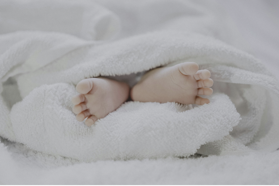 Simple Ways Families Celebrate the Moments That Matter Most