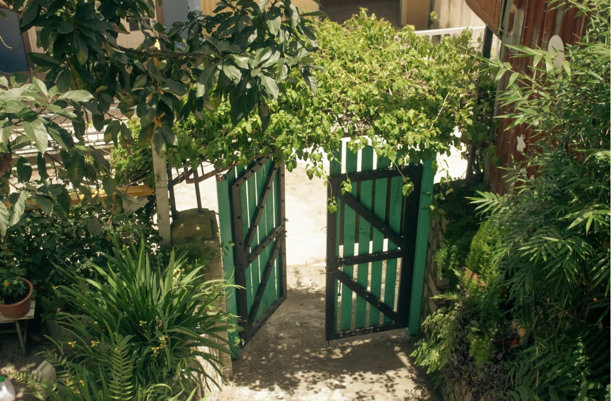 What Families Gain From Creating Safe Outdoor Areas for Growing Kids