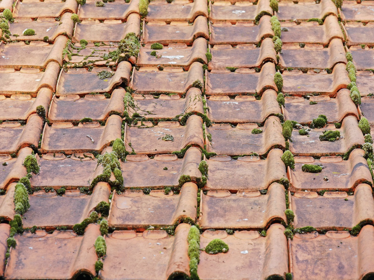  Why Roof Maintenance Plays a Role in Creating Healthier Family Homes