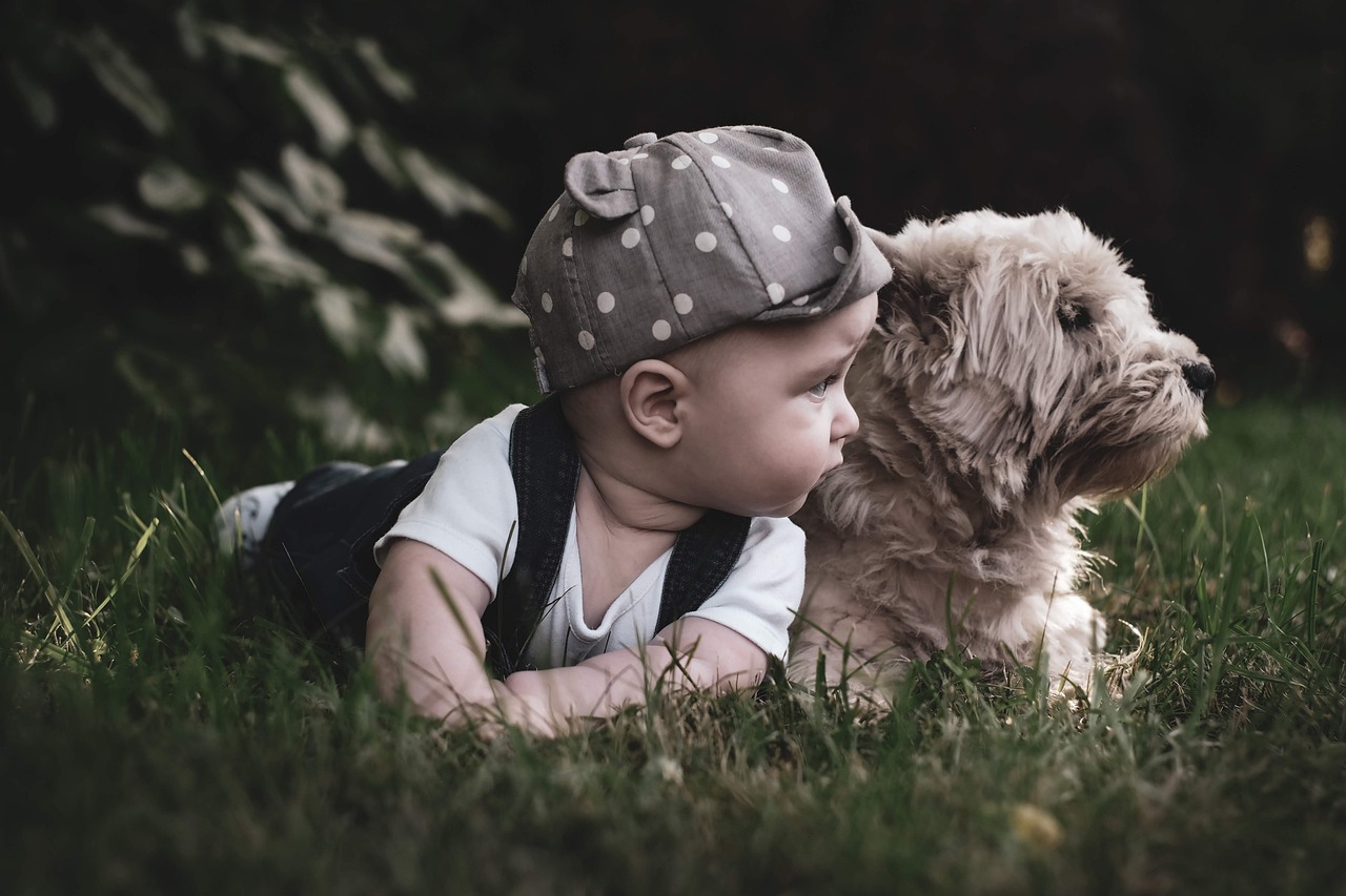 How to Create a Safe and Harmonious Environment for Pets and Babies