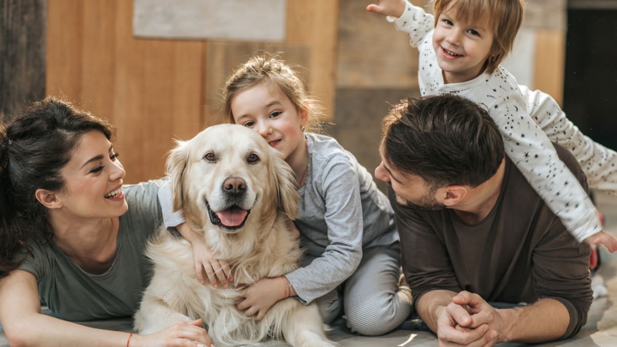 Pawsitively perfect: choosing the best dog breed for your family's lifestyle