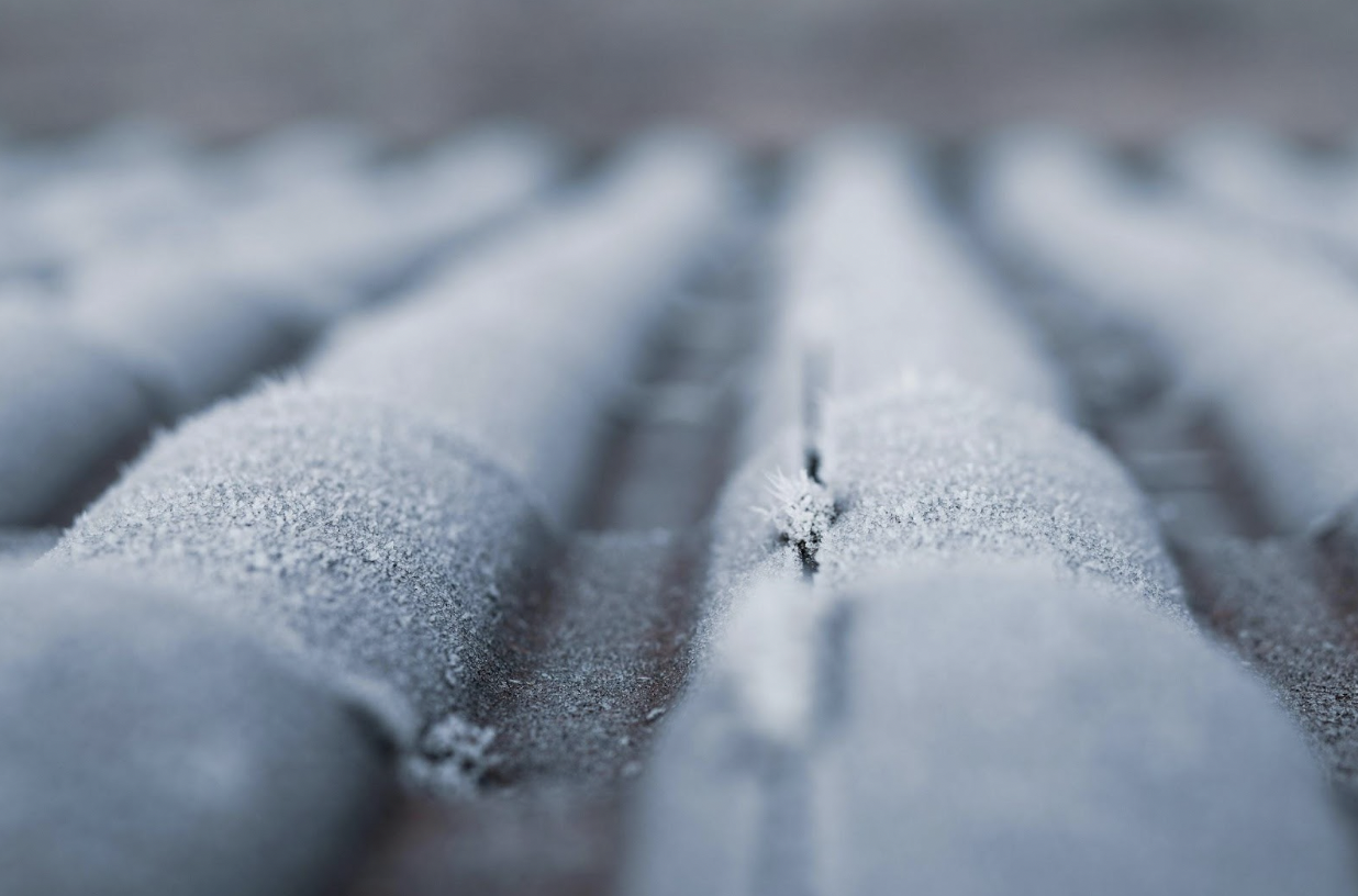 Family First: Seasonal Roof Care for a Safer Home