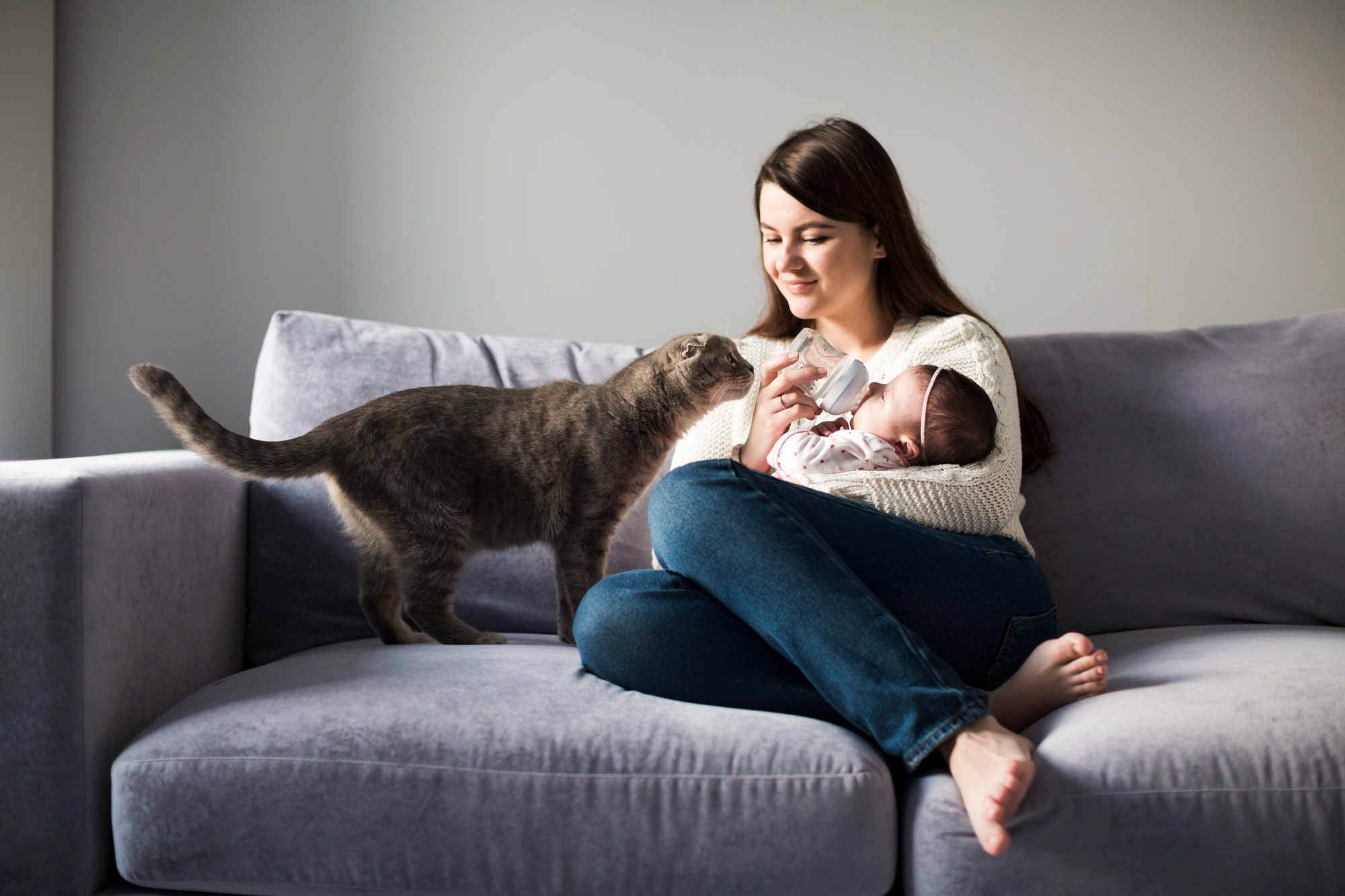 Pack the Diapers and the Litter: Cat- Friendly Hotels Perfect for Babies and  Their Furry Friends