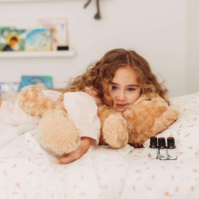 How to Take Care of a Teddy Bear Toy